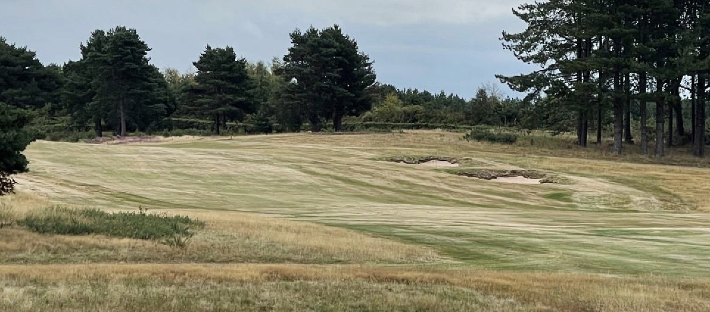 More drought-tolerant grass mixes are going to be required by many courses if their fairways are to survive sustained dry spells 