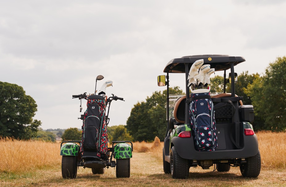 Mad Swans in the Mendips, launches 1 October